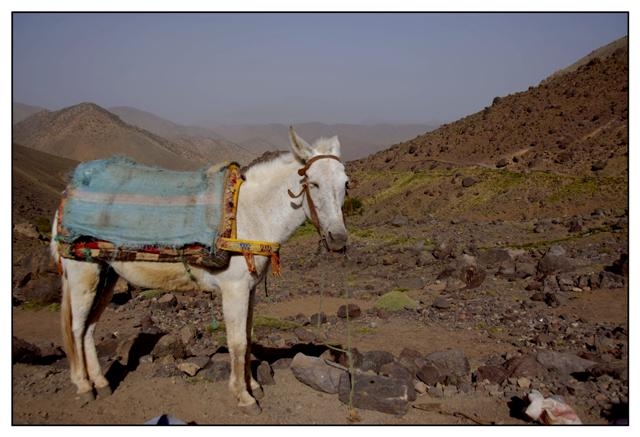 toubkal 168 (Small).jpg